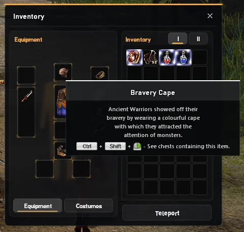 Tooltip der Bravery Cape im Inventar