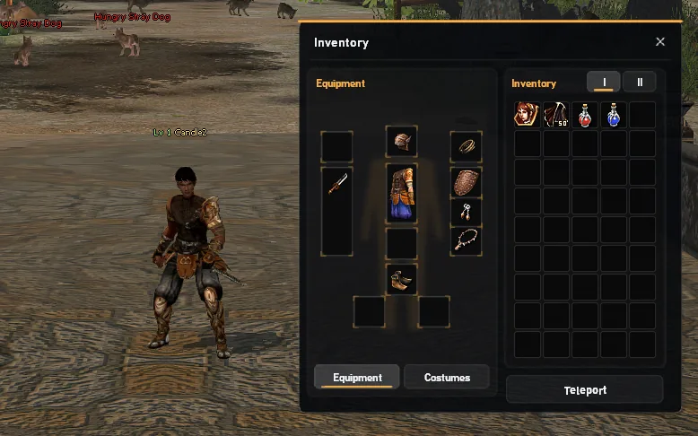Eine Ninja der Stufe 1 im +6-Startset, mit Bravery Capes und Tränken im Gepäck